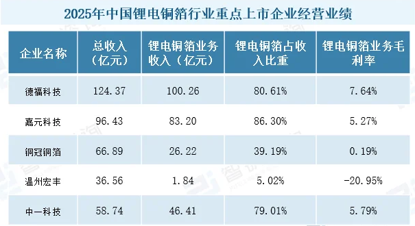2025年中国锂电铜箔行业重点上市企业经营业绩.png